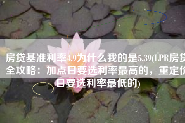 房贷基准利率4.9为什么我的是5.39(LPR房贷全攻略：加点日要选利率最高的，重定价日要选利率最低的)