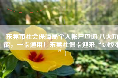 东莞市社会保障局个人帐户查询(八大功能，一卡通用！东莞社保卡迎来“3.0版本”)