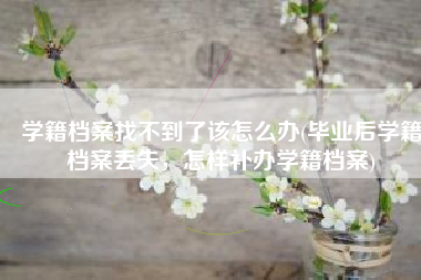 学籍档案找不到了该怎么办(毕业后学籍档案丢失，怎样补办学籍档案)