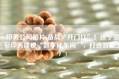 印务公司图片(奋战“开门红”！遂宁宽窄印务建设“数字化车间”，打造智能工厂)