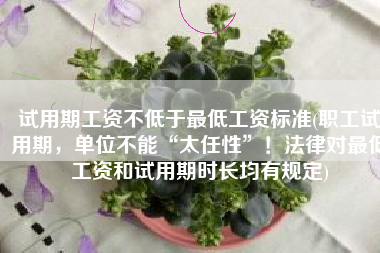 试用期工资不低于最低工资标准(职工试用期，单位不能“太任性”！法律对最低工资和试用期时长均有规定)