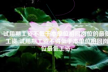 试用期工资不低于本单位相同岗位的最低工资(试用期工资不得低于本单位相同岗位最低工资)