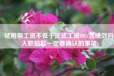 试用期工资不低于正式工资80%含绩效吗(入职前后一定要确认的事项)