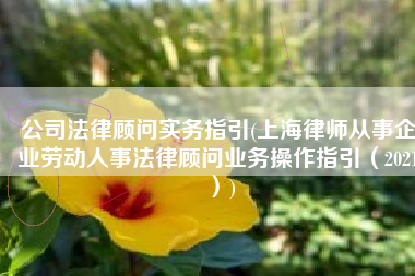 公司法律顾问实务指引(上海律师从事企业劳动人事法律顾问业务操作指引（2021）)
