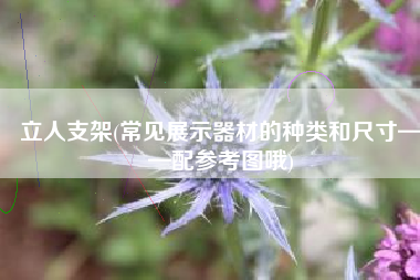 立人支架(常见展示器材的种类和尺寸——配参考图哦)