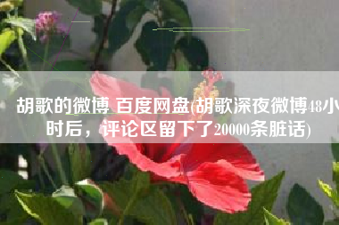 胡歌的微博 百度网盘(胡歌深夜微博48小时后，评论区留下了20000条脏话)