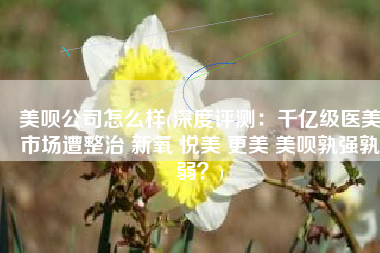 美呗公司怎么样(深度评测：千亿级医美市场遭整治 新氧 悦美 更美 美呗孰强孰弱？)