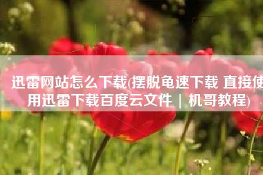 迅雷网站怎么下载(摆脱龟速下载 直接使用迅雷下载百度云文件 | 机哥教程)