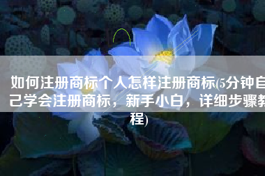 如何注册商标个人怎样注册商标(5分钟自己学会注册商标，新手小白，详细步骤教程)