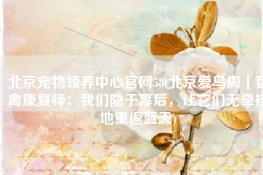 北京宠物领养中心官网58(北京爱鸟周｜猛禽康复师：我们隐于幕后，让它们无牵挂地重返蓝天)