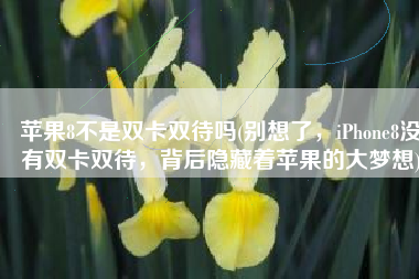 苹果8不是双卡双待吗(别想了，iPhone8没有双卡双待，背后隐藏着苹果的大梦想)