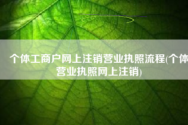 个体工商户网上注销营业执照流程(个体营业执照网上注销)