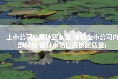 上市公司信息披露制度(加强上市公司内部风控 提升市场信息披露质量)