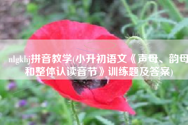 nlgkhj拼音教学(小升初语文《声母、韵母和整体认读音节》训练题及答案)