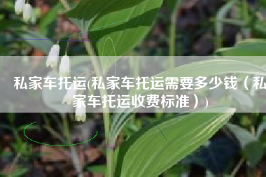 私家车托运(私家车托运需要多少钱（私家车托运收费标准）)