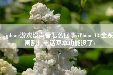 iphone游戏没声音怎么回事(iPhone 13 全系阉割！电话基本功能没了)