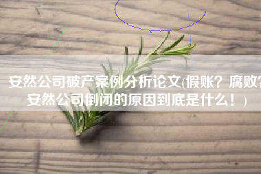 安然公司破产案例分析论文(假账？腐败？安然公司倒闭的原因到底是什么！)