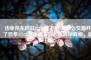 违章停车罚款12123查不到(为什么交警开了罚单12123上面查不到？告诉你真相，新手注意点)