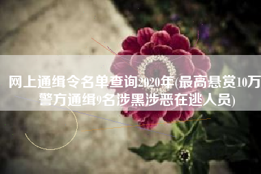 网上通缉令名单查询2020年(最高悬赏10万！警方通缉9名涉黑涉恶在逃人员)