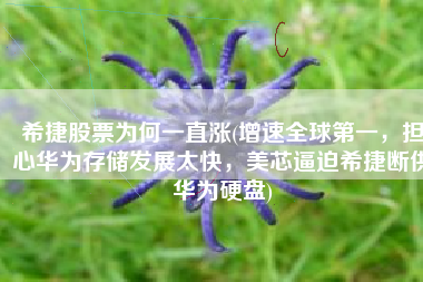 希捷股票为何一直涨(增速全球第一，担心华为存储发展太快，美芯逼迫希捷断供华为硬盘)