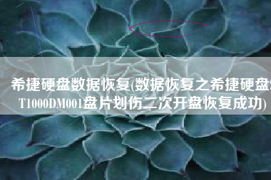 希捷硬盘数据恢复(数据恢复之希捷硬盘ST1000DM001盘片划伤二次开盘恢复成功)