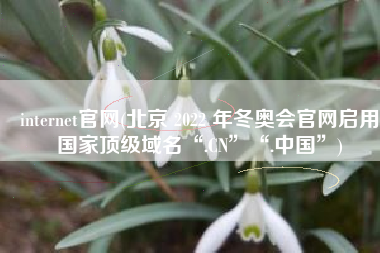 internet官网(北京 2022 年冬奥会官网启用国家顶级域名“.CN”“.中国”)