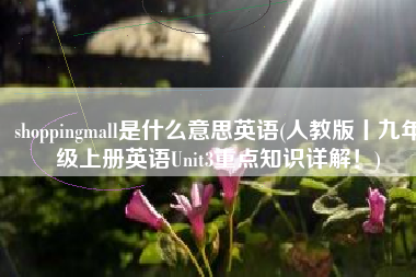 shoppingmall是什么意思英语(人教版丨九年级上册英语Unit3重点知识详解！)