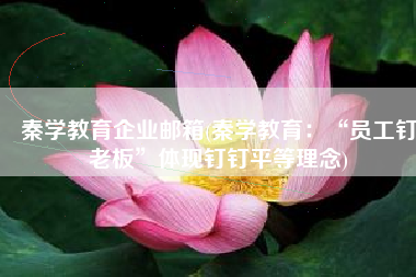 秦学教育企业邮箱(秦学教育：“员工钉老板”体现钉钉平等理念)