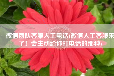 微信团队客服人工电话(微信人工客服来了！会主动给你打电话的那种)