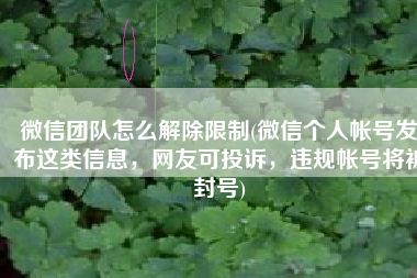 微信团队怎么解除限制(微信个人帐号发布这类信息，网友可投诉，违规帐号将被封号)