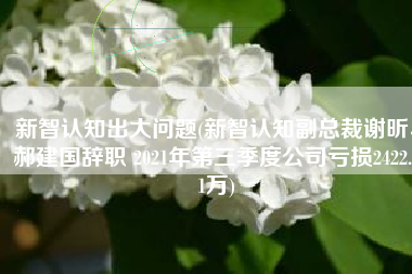 新智认知出大问题(新智认知副总裁谢昕、郝建国辞职 2021年第三季度公司亏损2422.61万)