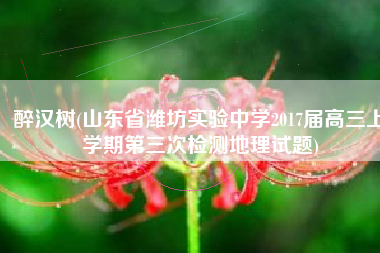 醉汉树(山东省潍坊实验中学2017届高三上学期第三次检测地理试题)