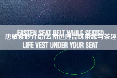 唐敏紫砂介绍(云南边陲品味茶缘与茶趣)