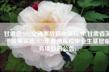 甘肃省2022交通事故赔偿新标准(甘肃省关于统筹实施2022年普通高校毕业生基层服务项目的公告)