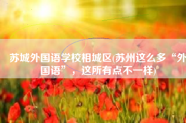 苏城外国语学校相城区(苏州这么多“外国语”，这所有点不一样)