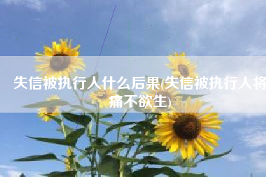 失信被执行人什么后果(失信被执行人将痛不欲生)