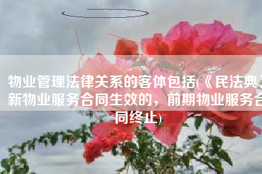 物业管理法律关系的客体包括(《民法典》新物业服务合同生效的，前期物业服务合同终止)