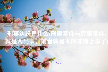 刑事纠纷是什么(刑事案件与民事案件，就是两码事，前者就是彻底地摊上事了)