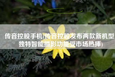 传音控股手机(传音控股发布两款新机型 独特智能摄影功能受市场热捧)