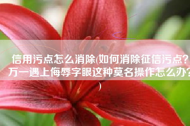信用污点怎么消除(如何消除征信污点？万一遇上侮辱字眼这种莫名操作怎么办？)