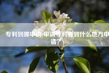 专利到哪申请(申请专利要到什么地方申请？)