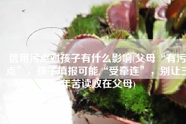 信用污点对孩子有什么影响(父母“有污点”，孩子填报可能“受牵连”，别让三年苦读败在父母)