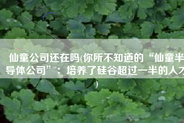 仙童公司还在吗(你所不知道的“仙童半导体公司”：培养了硅谷超过一半的人才)