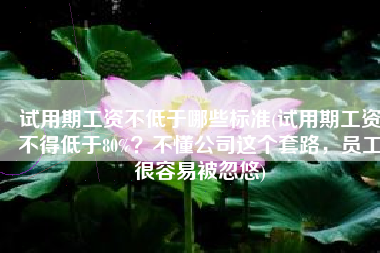 试用期工资不低于哪些标准(试用期工资不得低于80%？不懂公司这个套路，员工很容易被忽悠)