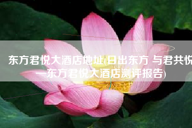 东方君悦大酒店地址(日出东方 与君共悦—东方君悦大酒店测评报告)