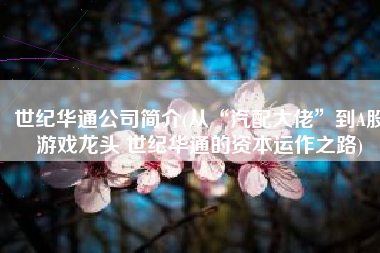 世纪华通公司简介(从“汽配大佬”到A股游戏龙头 世纪华通的资本运作之路)