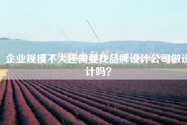 企业规模不大还需要找品牌设计公司做设计吗？