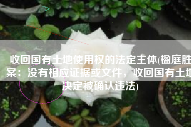 收回国有土地使用权的法定主体(楹庭胜案：没有相应证据或文件，收回国有土地决定被确认违法)