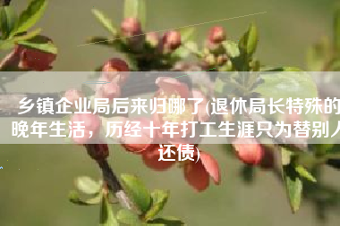 乡镇企业局后来归哪了(退休局长特殊的晚年生活，历经十年打工生涯只为替别人还债)