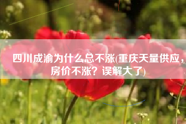 四川成渝为什么总不涨(重庆天量供应，房价不涨？误解大了)